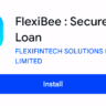 flexibee loan app